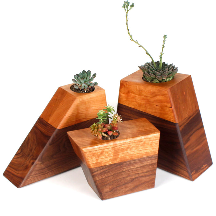 The Living Urn Planter™-Medium