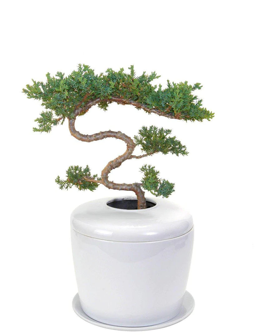 Living Urn Planter + Tiered Juniper Tree